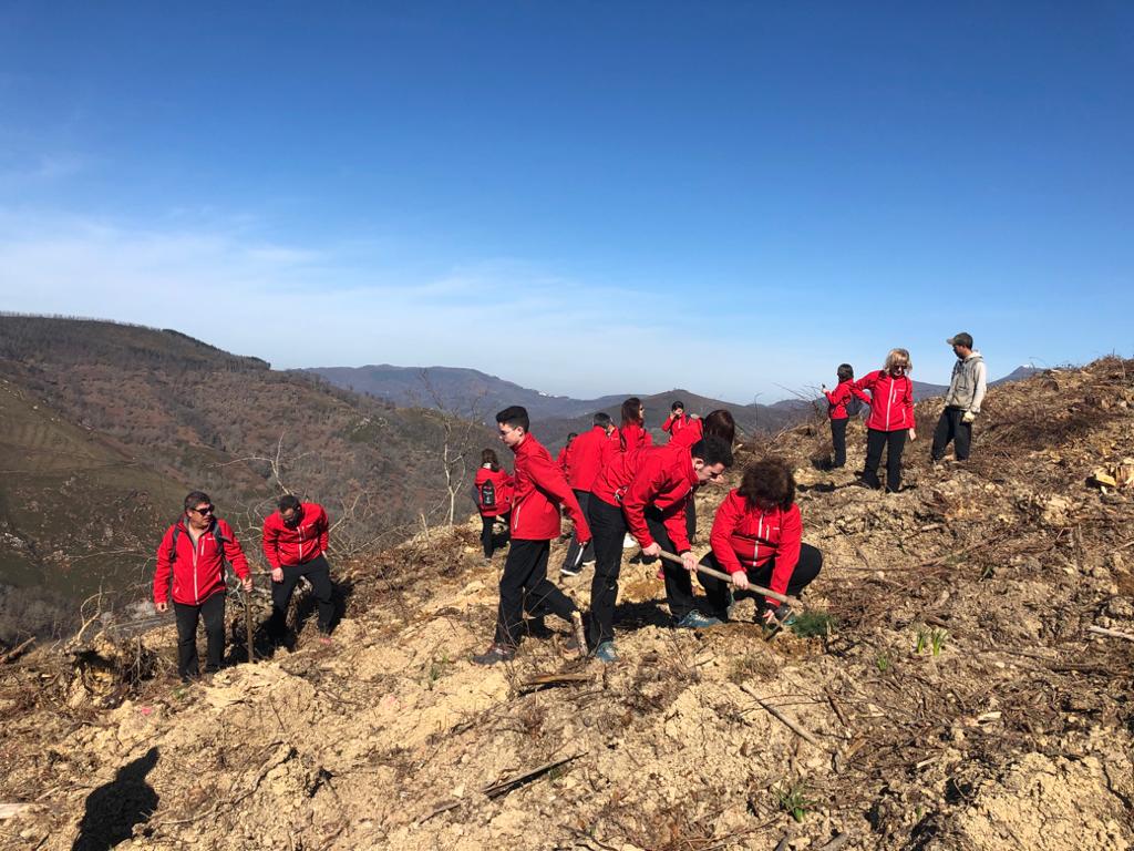 Helvetia_ES's tweet photo. Esta mañana un grupo de empleados y agentes de @Helvetia_es de #Navarra y sus familiares han participado de manera voluntaria en la plantación de varias decenas de árboles en el bosque de #Igantzi #Pamplona con la ayuda de @foresna a través del proyecto #BosquesProtectores https://t.co/f1b477s6mG