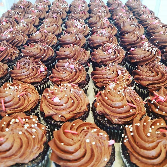 Brake Bread (@brake_bread) on Twitter photo Cupcakes for <a href="/bucketbrigademn/">Bucket Brigade</a> and for the shop too! This weekend and next and then not for like a year. So live it up already. Cupcakes for <a href="/bucketbrigademn/">Bucket Brigade</a> and for the shop too! This weekend and next and then not for like a year. So live it up already.