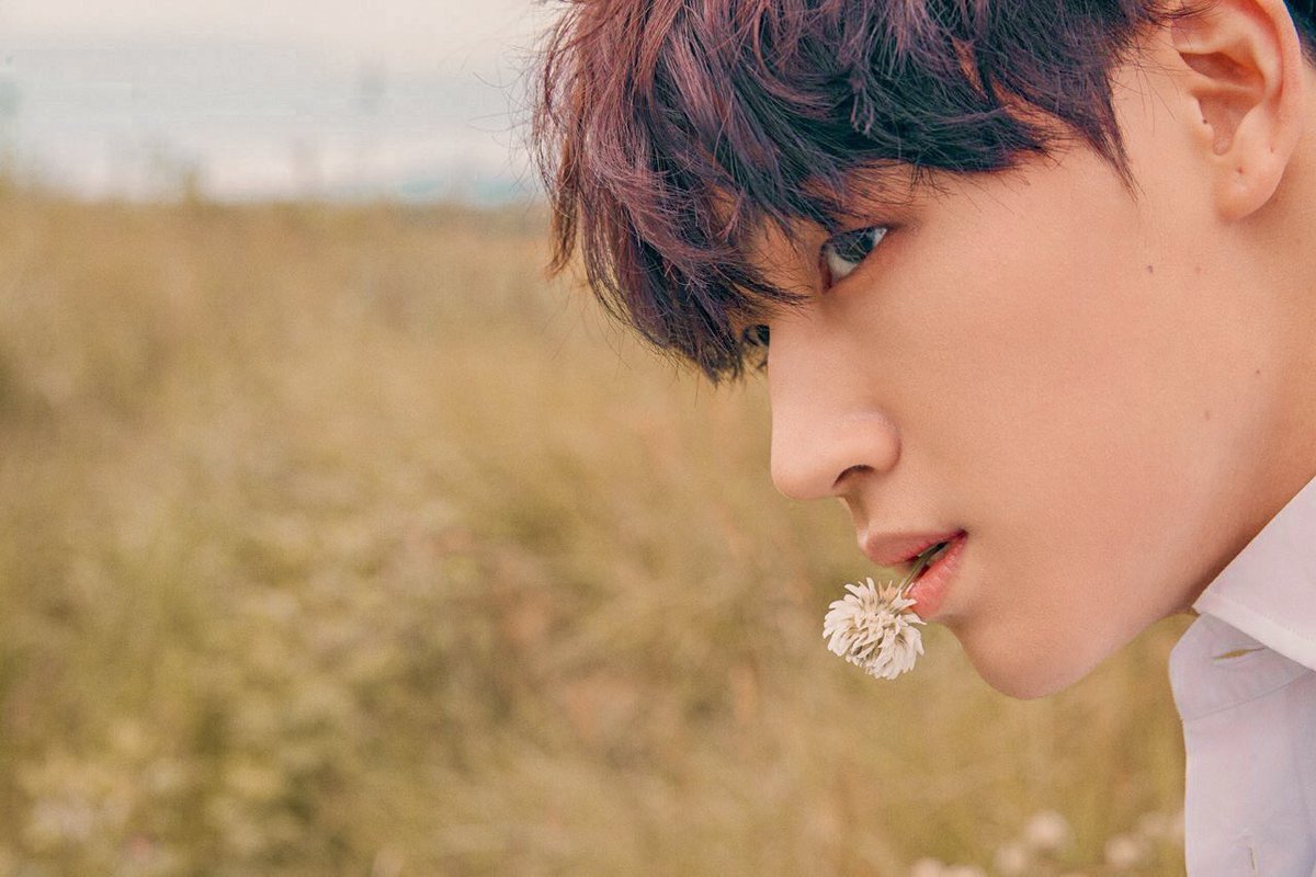 lim jaebeom as vincent van gogh and claude monet& #39;s paintings: a thread.