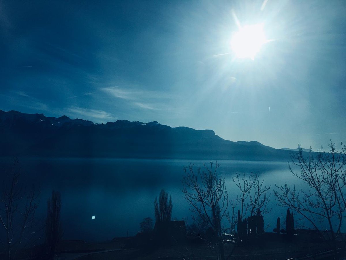 PE & Sports | Jumeirah College tweet media