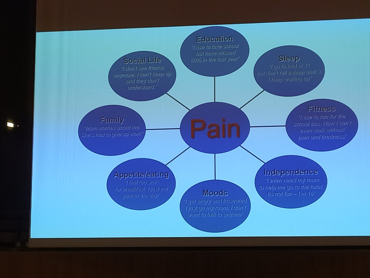 Esferas de la persona a las que afecta el dolor @Sefid_edupain @fisioaragon #VCongresoFisioterapiayDolor