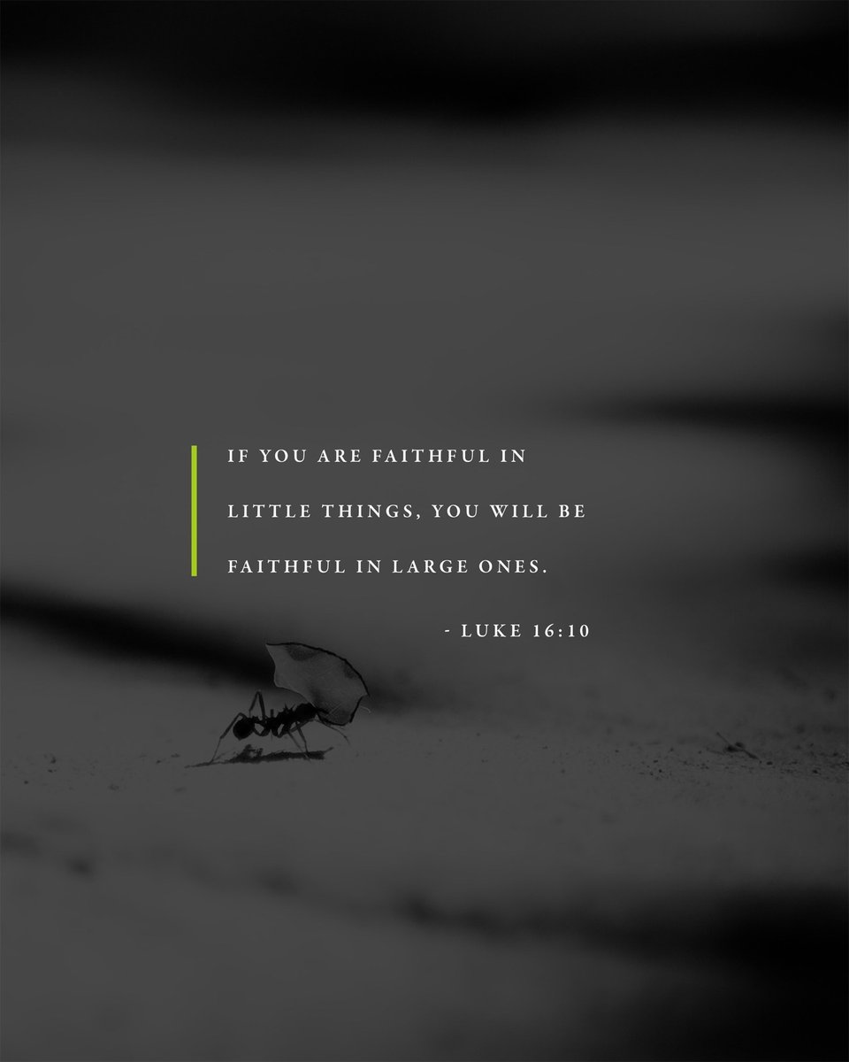 CLC_Kingsport's tweet photo. “He that is faithful in that which is least is faithful also in much: and he that is unjust in the least is unjust also in much.”
Luke 16:10 KJV

#MyCLC # Chosen #WelcomeHome #400in2020 #UPCI #Pentecostal https://t.co/Ql5H6S4ZYq
