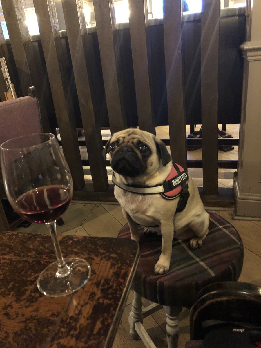 clairekleaman's tweet photo. Staying out of storm Dennis’s way with Hunny B! 🍷 🍺 🌬#puglife @The_Governors @nathaniel_t8 https://t.co/Jv8YpVGd4a
