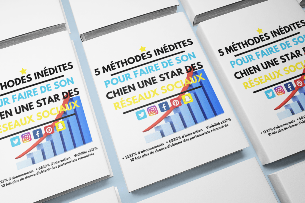 StoreUnuma's tweet image. 5 MÉTHODES PREMIUM POUR ACCROÎTRE LA NOTORIÉTÉ DE VOTRE CHIEN SUR LES RÉSEAUX SOCIAUX unuma.fr/produit/5-meth…