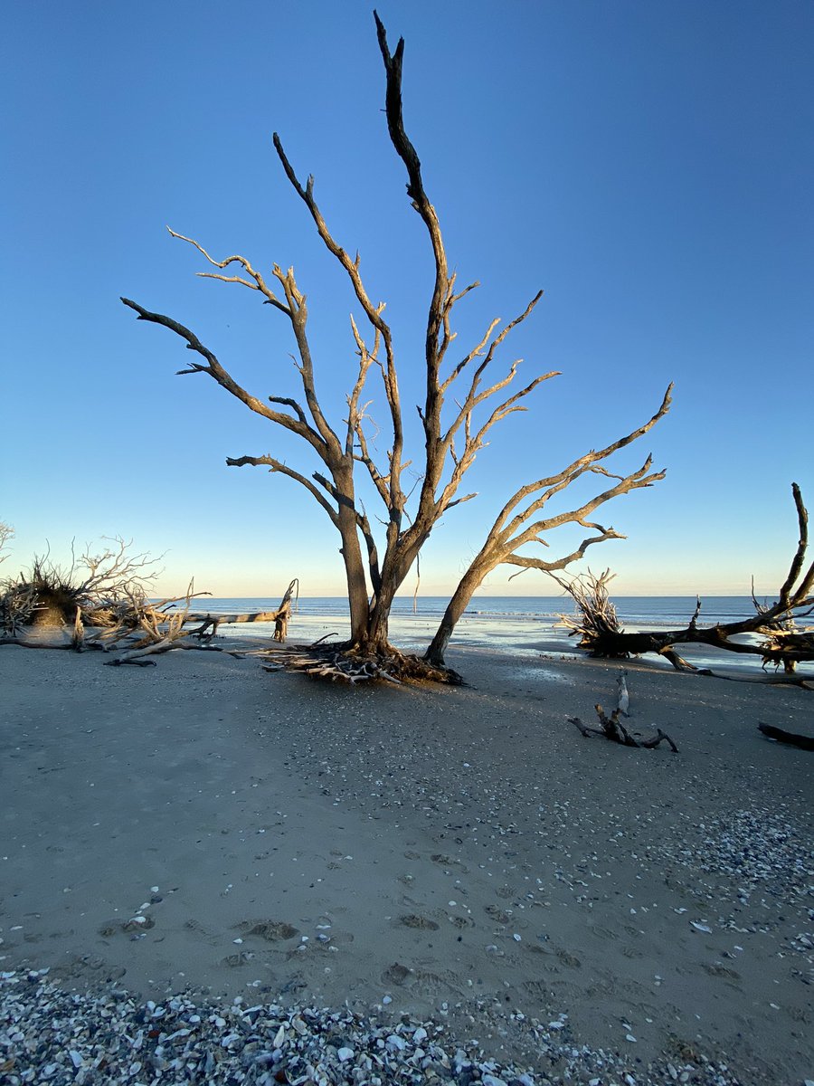 Botany Bay inspired the cover for my upcoming collection of poetry, Fragmented Roots.  This is a different view of this beautiful beach. #SaturdayMotivation #Writer #WritingCommunity #BotanyBay