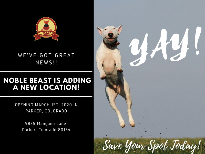 NobleBeastDog's tweet photo. We are opening a new location in Parker!!! Yay!! Make sure to check out to save your spot in our Group Day Training Program! We will also be offering our obedience classes there as well!

https://t.co/scyZqPrrRF

#Denver #Colorado #Dog #DogTraining #DenverPets #Puppy https://t.co/g6d4Lp1HUo