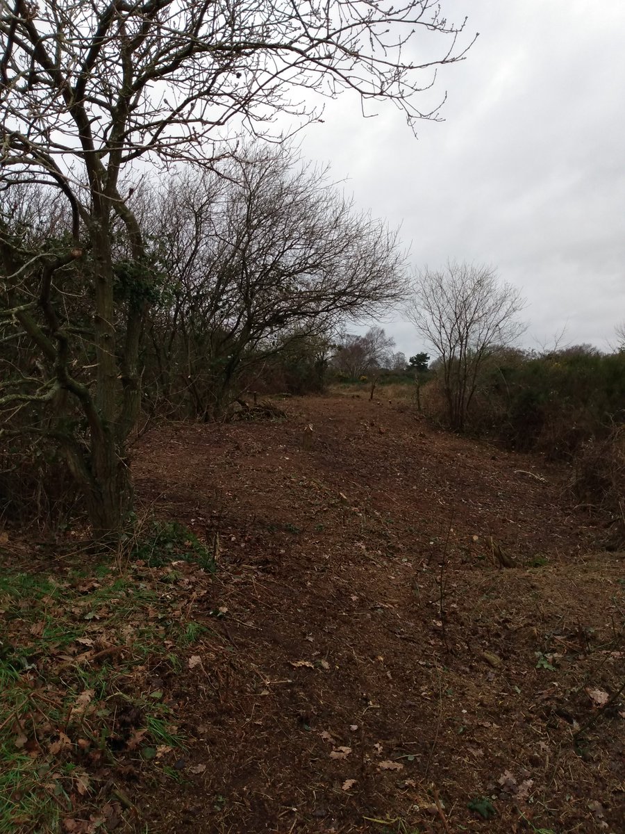 Big thank you to everyone who braved storm Dennis to come to the Martlesham Heath Megabash today! Lots of scrub cleared and carted to the bonfire. <a href="/EastSuffolk/">East Suffolk Council</a>  #planetsuffolk #stormdennis #heathlandmanagement #volunteers #volunteering #volunteersuffolk #conservation  #bonfire