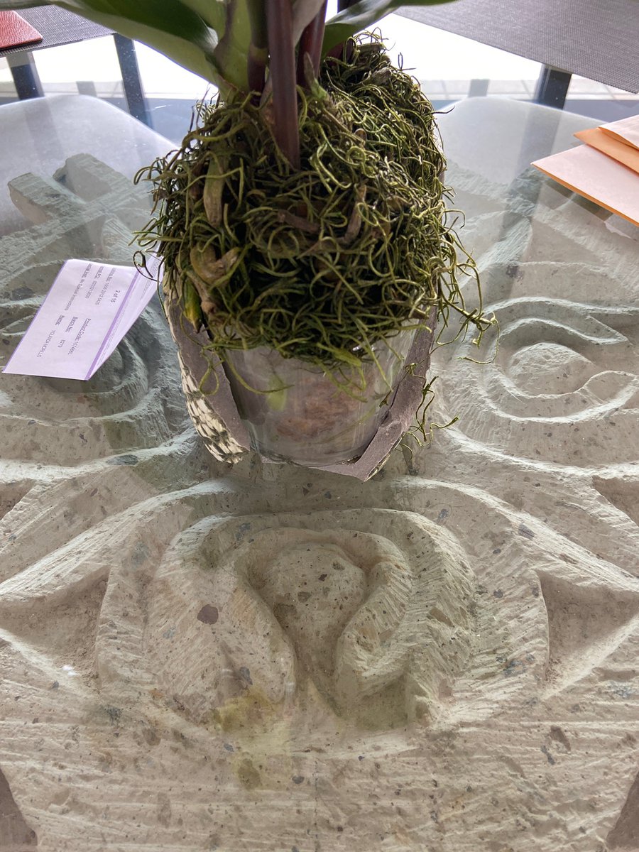 itsninamorillo's tweet photo. @1800flowershelp #Terrible service 👎🏼 Ordered flowers for my mom &amp; vase arrived completely broken. Call support &amp; all they offer is 20% off. Really? What’s she supposed to do with these orchids?Super expensive &amp; ruined the surprise for her first Valentine’s since dad’s passing 🤦🏻‍♀️ https://t.co/QAow2pDISF