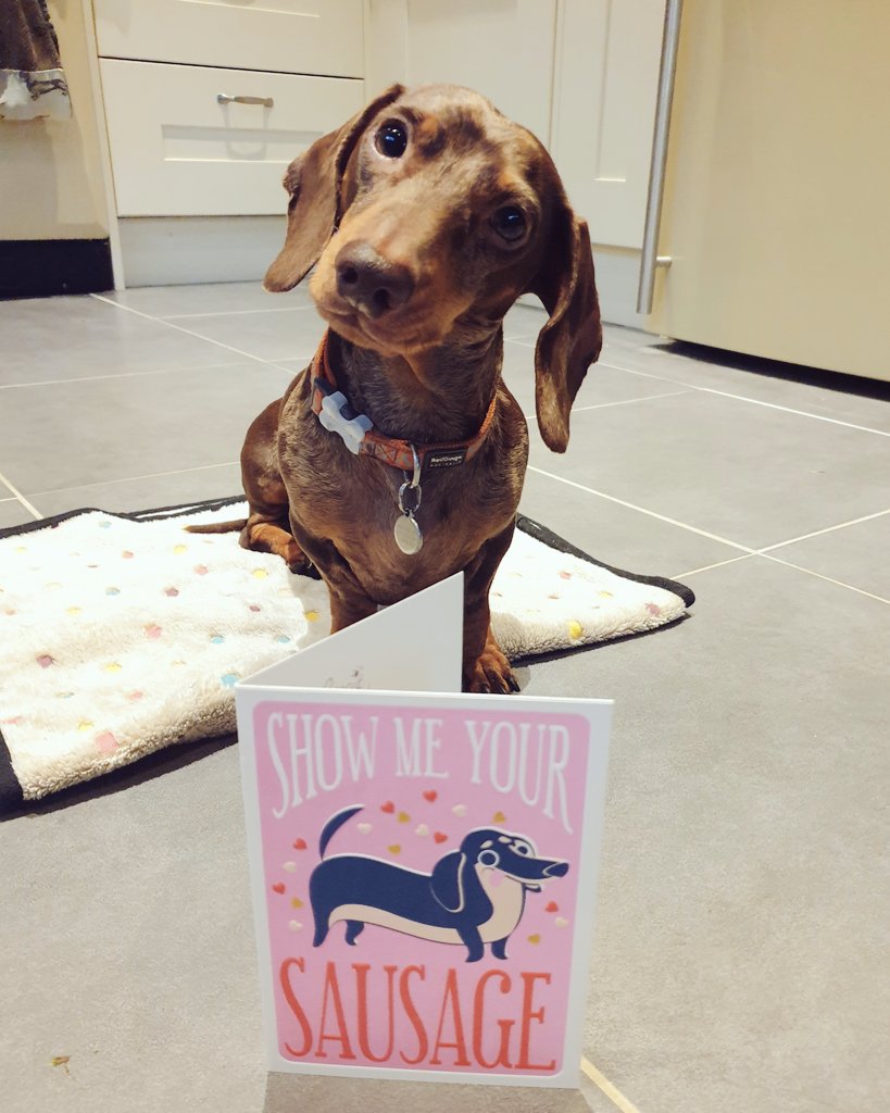 Who else got a pawsome sausage-themed Valentine's card like us?! 🤔💕😉😂 #dogsoftwitter #sausagearmy #showmeyoursausage #valentinescard