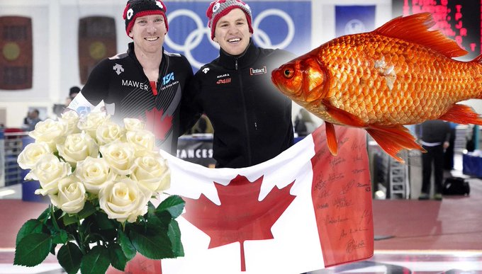 Update_Skate tweet media