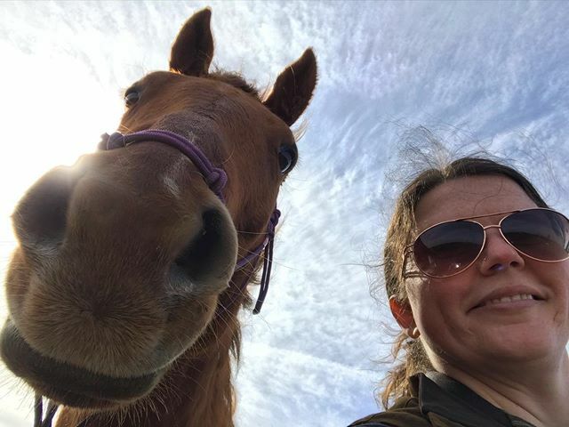jodelony's tweet photo. Spent some time with this pretty girl again this morning!

#prettypenny #horselife #mymanegirl https://t.co/JlVjs4ZAgL https://t.co/bf6gkF717h