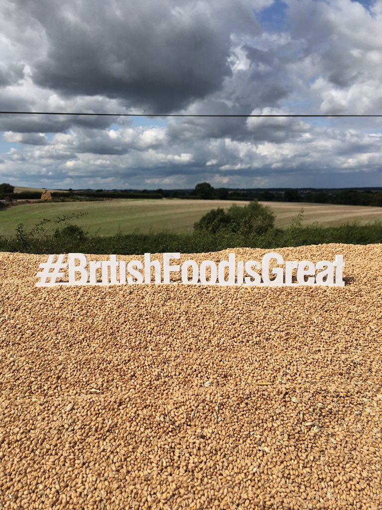  #Farmers everywhere work to provide  #food to the best of their ability within their regulatory framework.But our government can’t let our world-leading  standards be undercut by imports of food it would be illegal to produce here. #TradeStandards #BackBritishFarming10/10