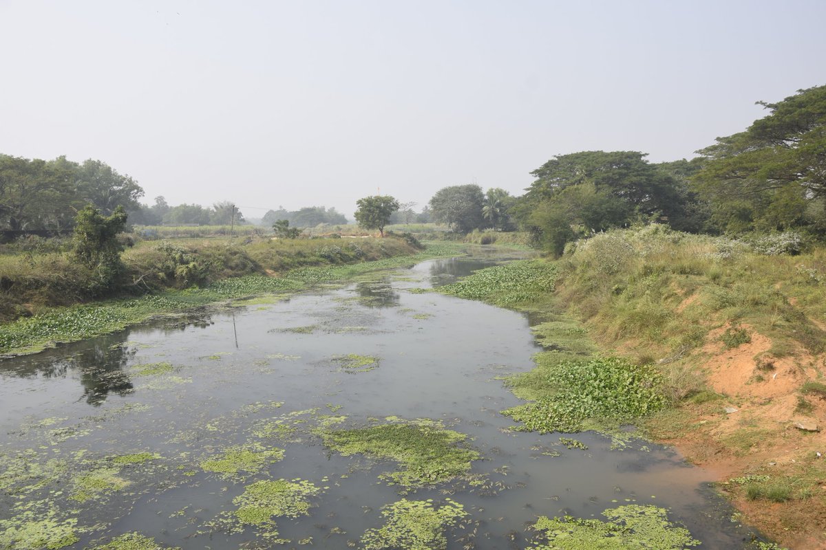#PrachiVelly 
And of course Prachi is there in Padma Puran (Prachi Mahatmya) &amp; Odia Bhagabata. 

Prachi identified as Pratichi river in 4th millennium BC's Bhagabata of Vyasadeba.

ताम्रपर्णी नदी यत्र कृतमाला पयस्विनी ।
कावेरी च महापुण्या प्रतीची च महानदी ॥ 
(श्री.भा 11.5.39)