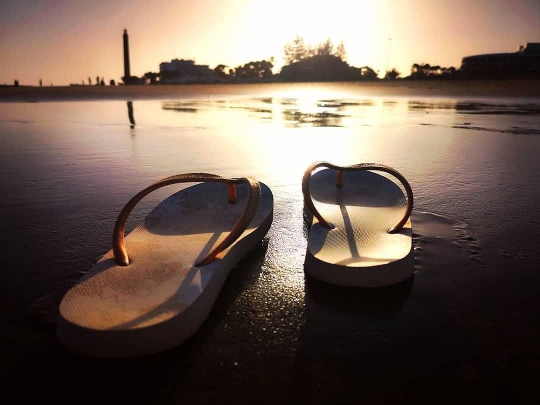 canaryws's tweet photo. 🧡 WEEKEND MODE ON 🙌
#FelizFinDeSemana

〽 #SantaMonicaSuitesHotel
#PlayaDelInglés #Maspalomas #dunasdemaspalomas #maspalomasdunes #GranCanaria #lovegrancanaria #grancanariaregional #myviewfromhere #lifeisgreat #cantgetanybetter  -  https://t.co/Omz3fPtunJ https://t.co/a82JFxFLEz