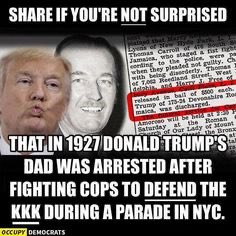 EugJHawk's tweet photo. @realDonaldTrump @nytimes https://t.co/hHMpWV7GOa
