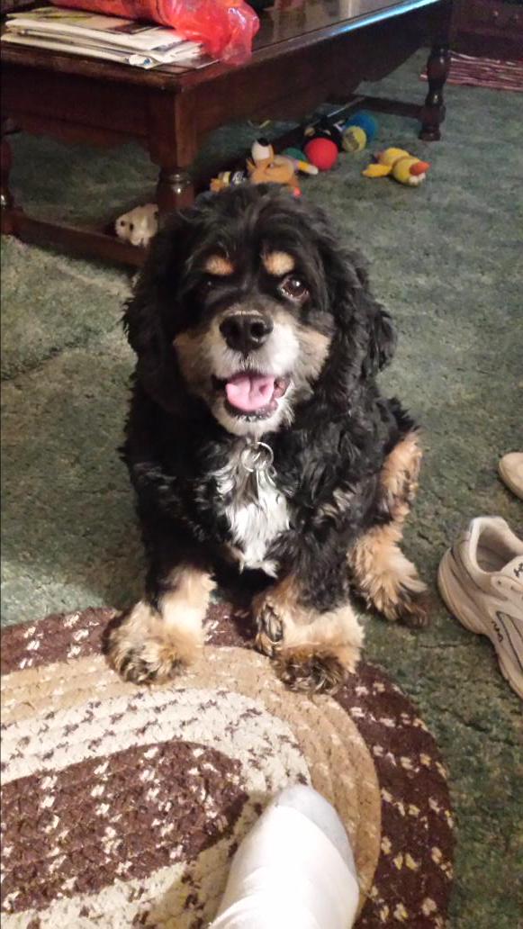 FreeCandy tweet media