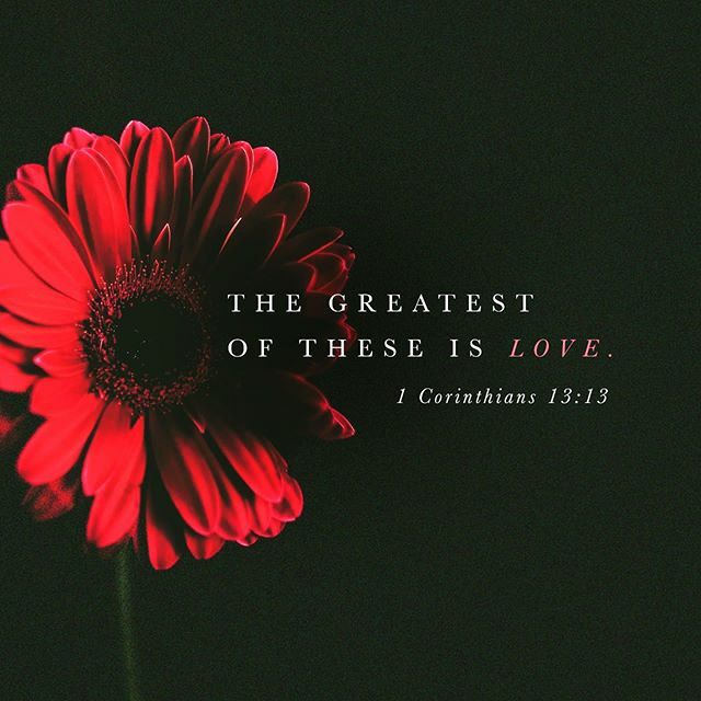 ❣️❤️❣️Love EVERYDAY ❣️❤️❣️
•
•
•
•
#love #grow #serve #give #worship #release #vision #manifestation #loveeveryday #mzac #2020goals instagram.com/p/B8mRz7Zlz4e/