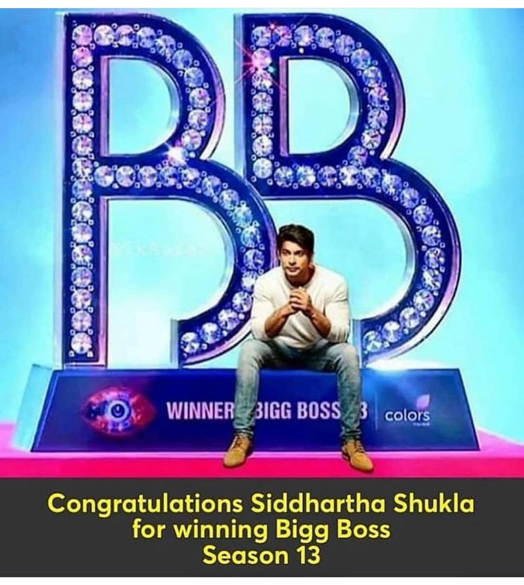 Anamika102102's tweet image. #Bigboss13winner