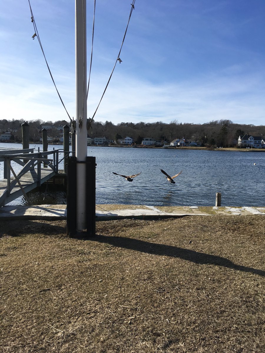nance014's tweet photo. Itβs cold here in Mystic CT..
but still a pretty sight..
#winterinCT https://t.co/c5UELwyxrk