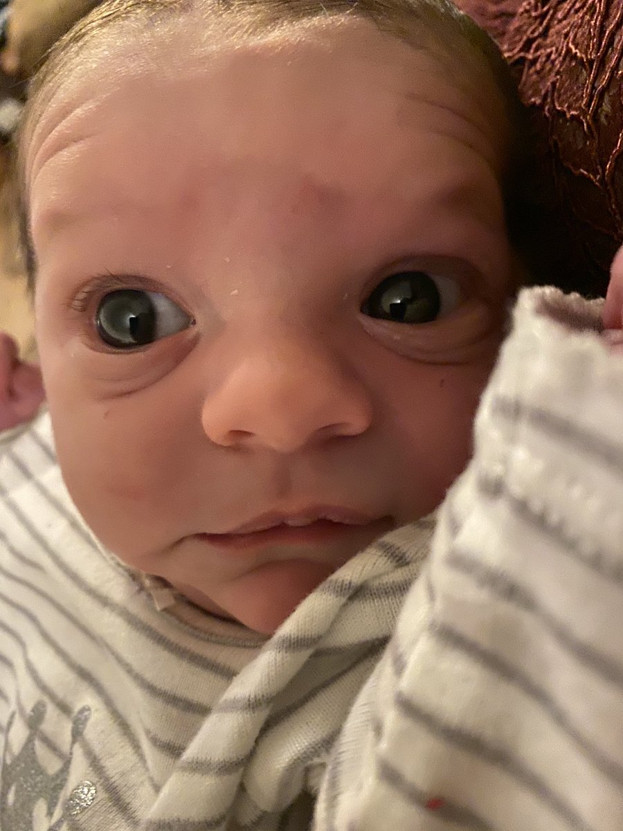 ChaoticOctopus's tweet photo. 💕 #MoChridhe 💕
Daughter & crew spent the night last night so she could watch the #OutlanderSeason5Premiere . #Claire drinking 🍸 & watching #Jemmy during the wedding festivities = this #Mimi drinking and holding #EmilyAdelaide during the @Outlander_STARZ festivities. 🍷🥃 https://t.co/kX3T1bwiHI