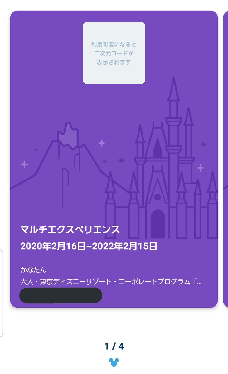 ディズニー マルチエクスペリエンス 4枚セット - asca.edu.do