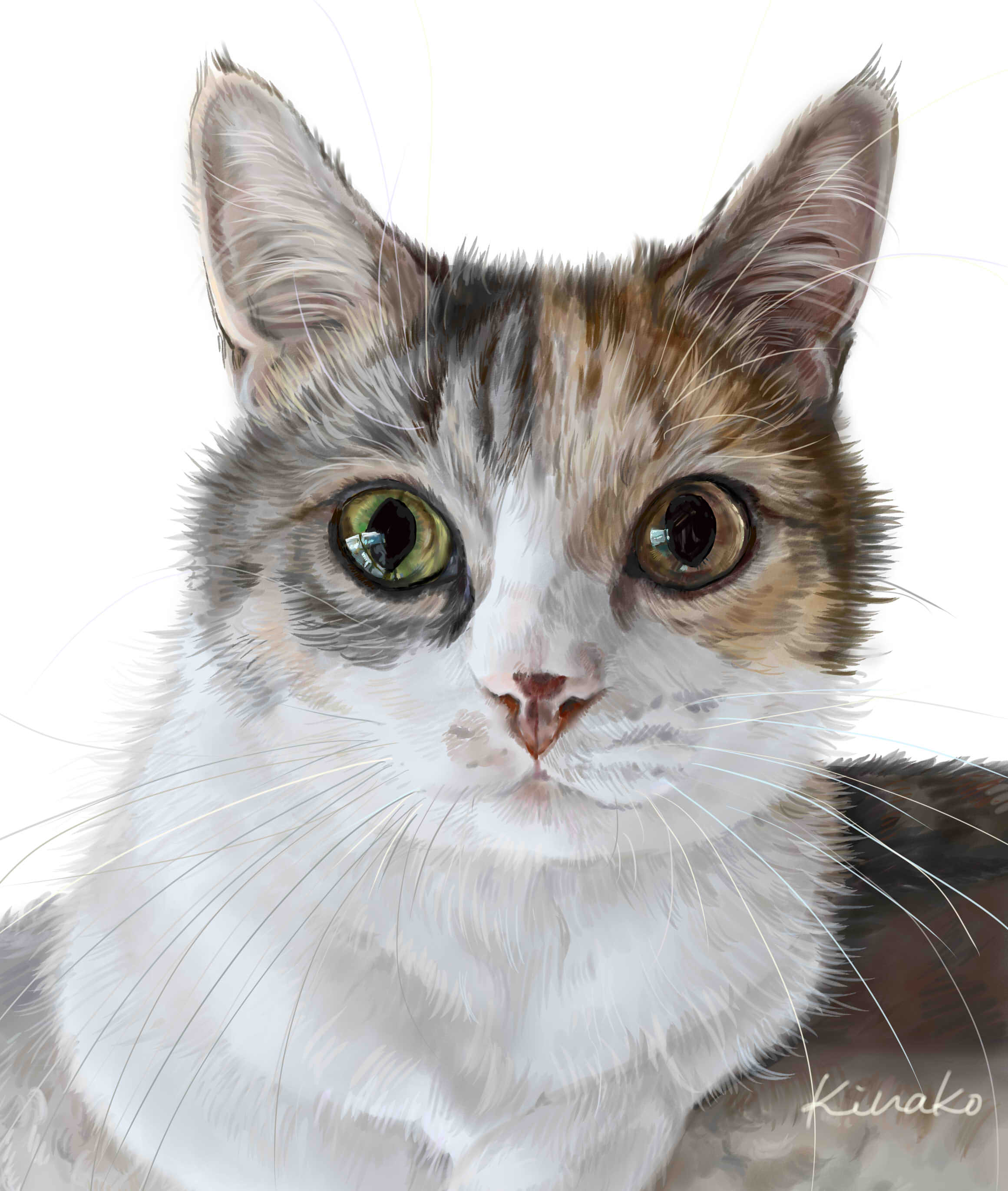 きなこ 猫の絵を描いています 絵が完成しました 姫 な ん ニ ャ ン さんの マンチカン女子 姫なんちゃんでした 6歳です なんて きれいな瞳 キラ キラ 猫絵 Cat Drawing 猫イラスト 猫画 マンチカン