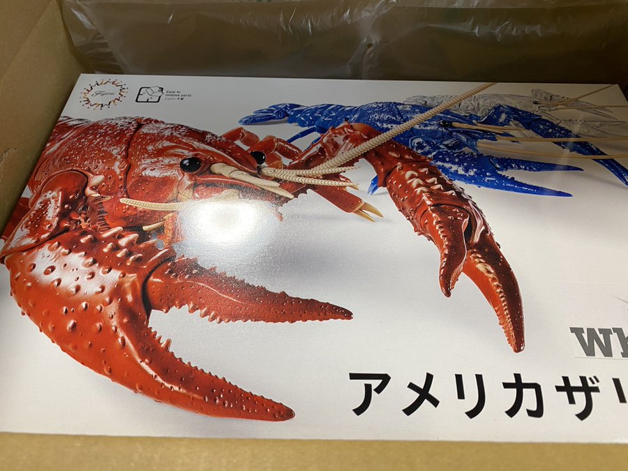 ザリガニは実は食用できる 気になる味や食べ方を詳しく解説 キャンパーズ