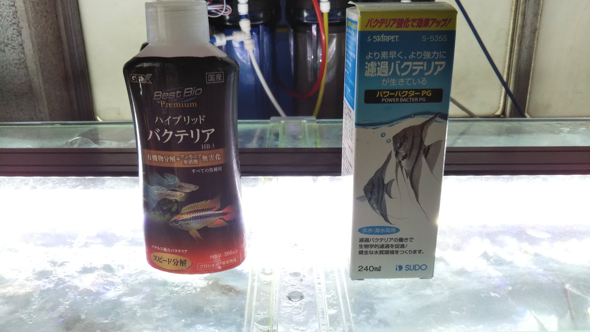Aldial Laboratory 幻と伝説の舞 サンガブリエル産ネグロアルタム サンタイザベル産ネグロスカラレ 混泳 コロンビアアルタム１匹 Ro水の流し水で大量換水したので昨夜バクテリアを投入 テトラkhプラスの入れ過ぎで上昇したphが今朝は適性値に 水素