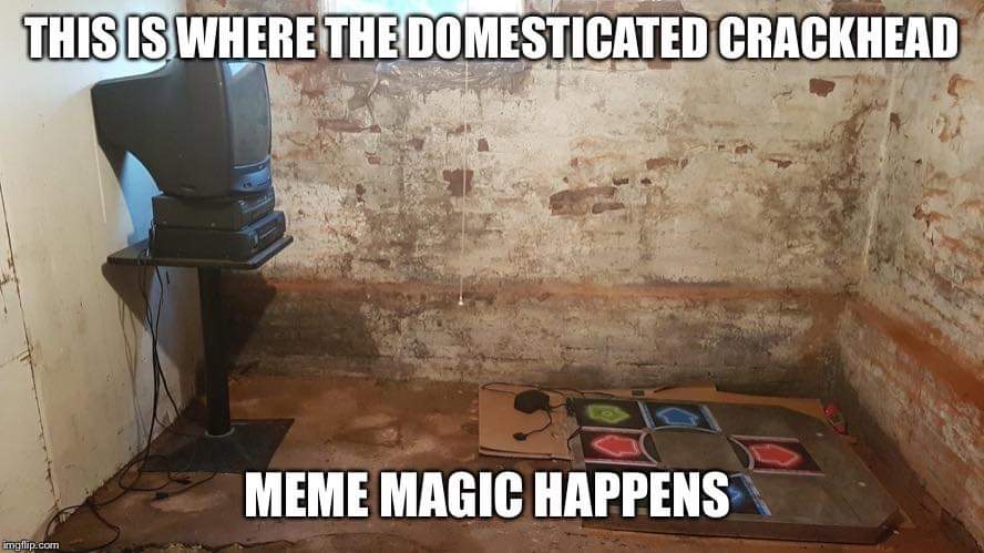 If I hit 2k followers on here I'll go back my other account