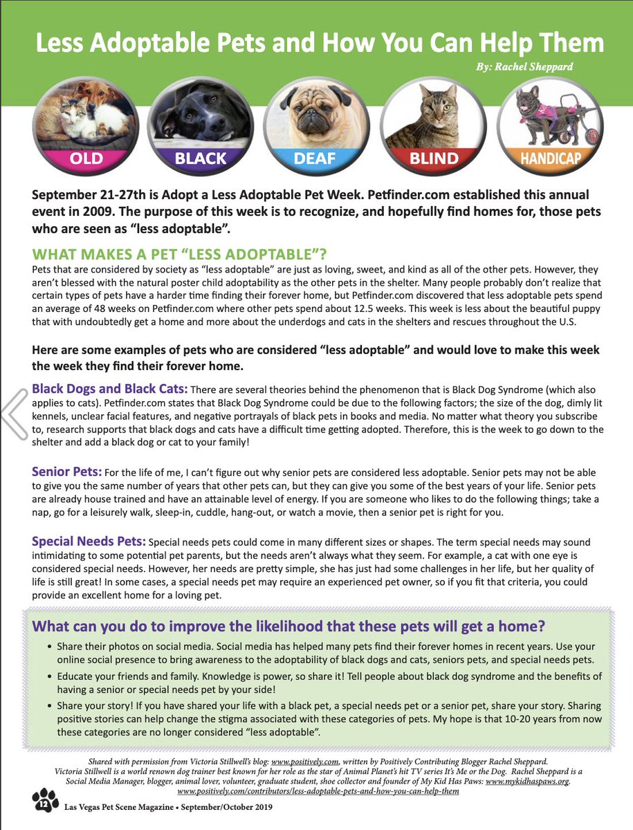 Rachel Sheppard tweet media