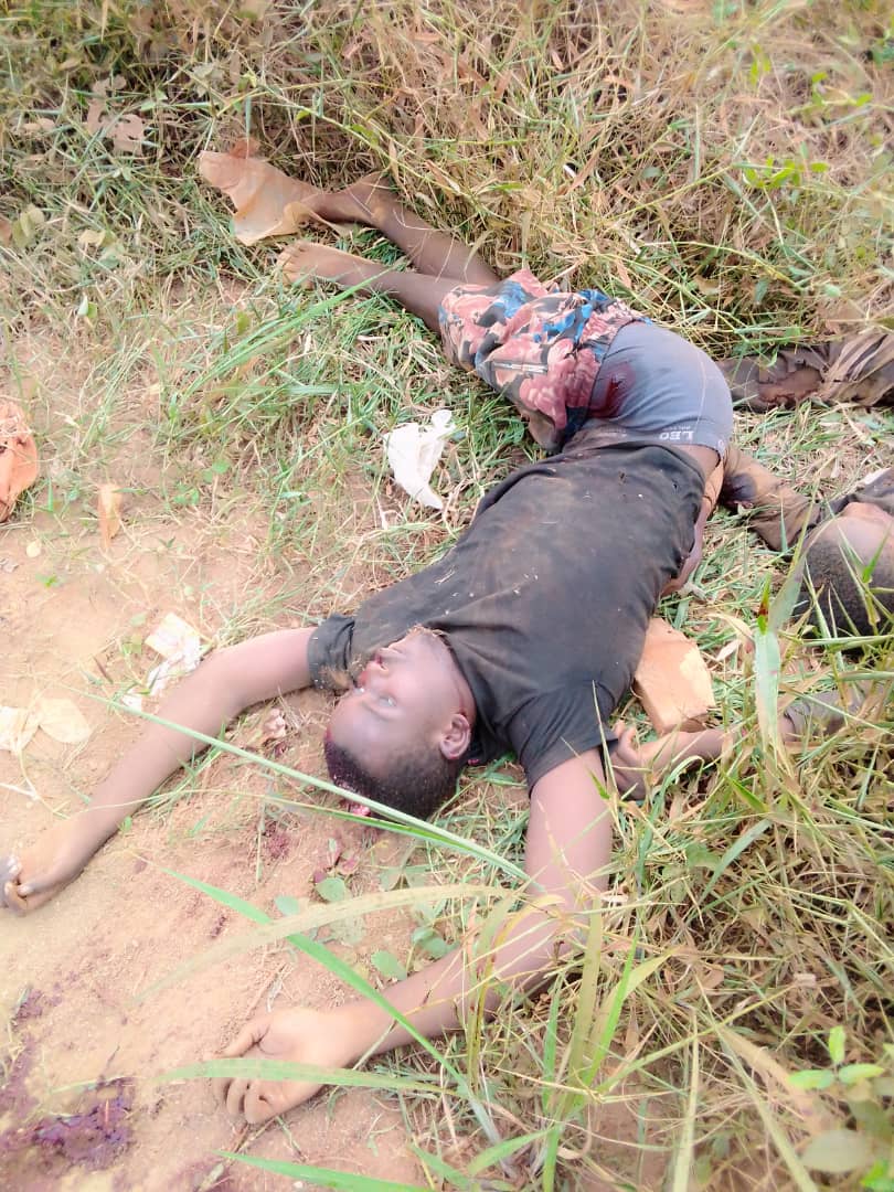DFombat's tweet photo. [15/02 15:06] +237: All these children were executed in Kumba few hours after 28 killed in Ndonga. That's Paul Biya's special status to anglofools and enablers.
[15/02 20:06] Fombat: We are not angry enough😭😭😭😭😭 @10DowningStreet @UKParliament @realDonaldTrump @PaulKagame https://t.co/O3kJ9Plcnt