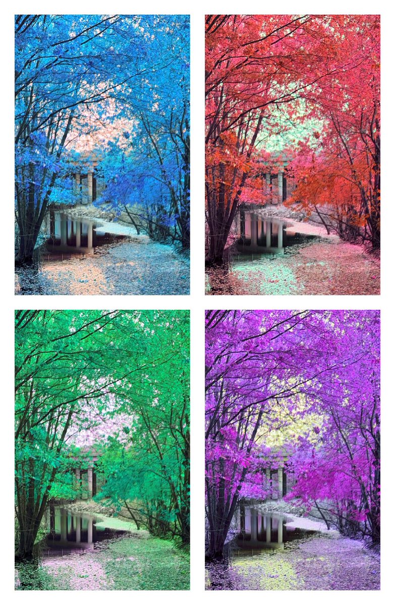 JenSparksArt's tweet photo. Under the bridge #photography #walkpath #colors #jensparksart # https://t.co/h13kcNITgE