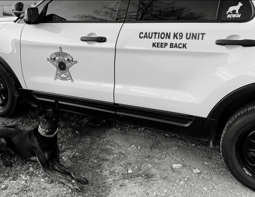 K9officersinc's tweet photo. K9 Robin with Waller County SO wishing everyone a safe and happy weekend.
#K9Officersinc #K9Robin #WCSO #HK9A #JuliusK9 #PoliceK9 https://t.co/rNUztzrWGq