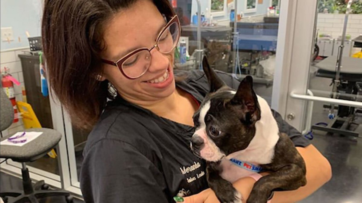 OH MY 😍 … Discover a career that loves you back in our #PetSmartGrooming salons! Visit careers.petsmart.com/salons to check out open opportunities near you. #LifeAtPetSmart
📸: ktdogstylist, petsmartoakridge, petsmartcalgarytrailsalon