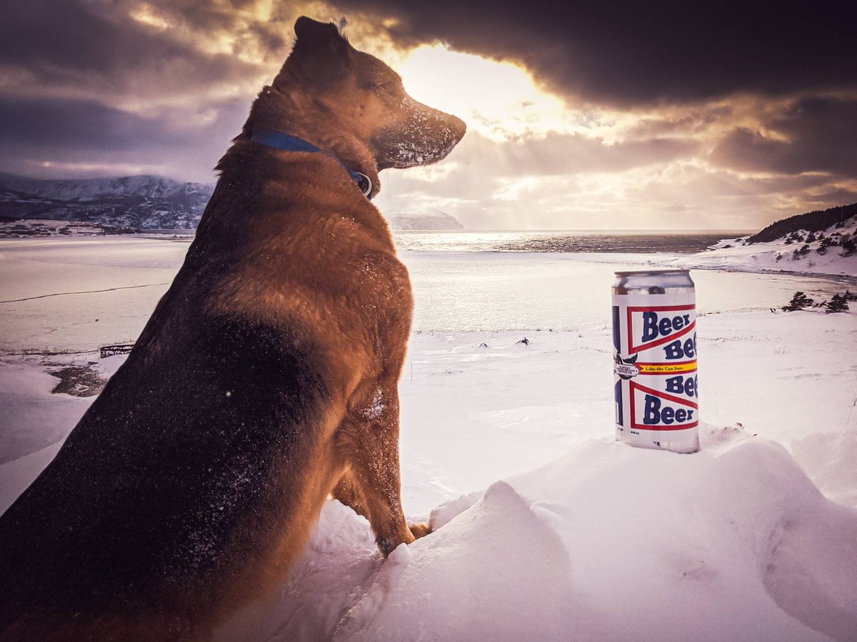 After a big start to 2020 we are taking a couple days of R&amp;R in the sun. Look forward to end of month when we release updated editions of Strout River and Pasadena Beach Lager. In the meantime, get a tan and have a BEER!

#westernnlbrewing #beer #nlcraftbeer #wnlbc