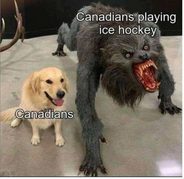 saint_marche's tweet photo. Don't mess with our hockey! #HabsRule https://t.co/TXXjWwKvfl