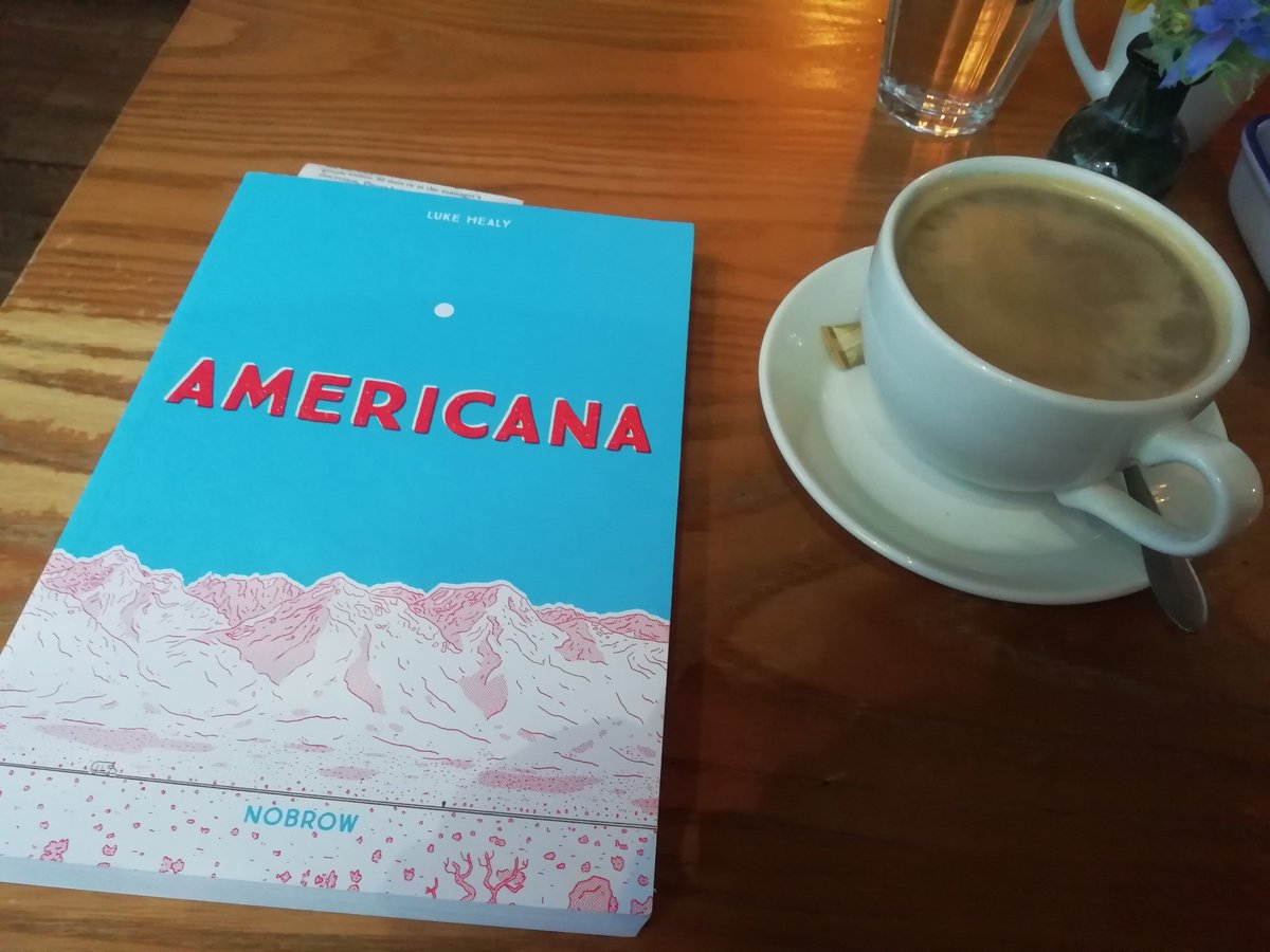 Book 14 was Americana by Luke Healy, a very pleasant and enjoyable graphic memoir about a very long hike from Mexico to Canada. Great art, lots of nice and funny observations, a decent level of emotion and a good heart. It'll make you want to walk lots.