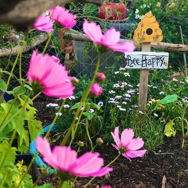 BloomingSecrets's tweet photo. How to Start a Flower Garden From Scratch #flower #garden #gardeingtips https://t.co/gBCxRgdGsQ https://t.co/JNtqOuTIcd