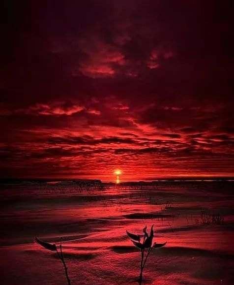 HermsHerms1's tweet photo. #Dolce #notte #mondo di #Twitter 🙋🌌🌜😘🤗
#BreviPensieri 

#Ognuno #dipinge il #quadro della propria 
#vita con i #colori delle #proprie #scelte. https://t.co/iPHo9W2zoc