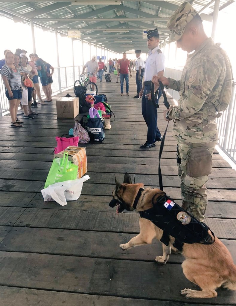 aeronavalpanama's tweet photo. El es Sony,  nuestro canino que forma parte de la seguridad en el Destacamento de Taboga, realizando verificaciones junto con nuestras unidades de equipajes a todos los ciudadanos que visitan la isla de Taboga #Guardian2020 https://t.co/Ngqv2SZ9kb