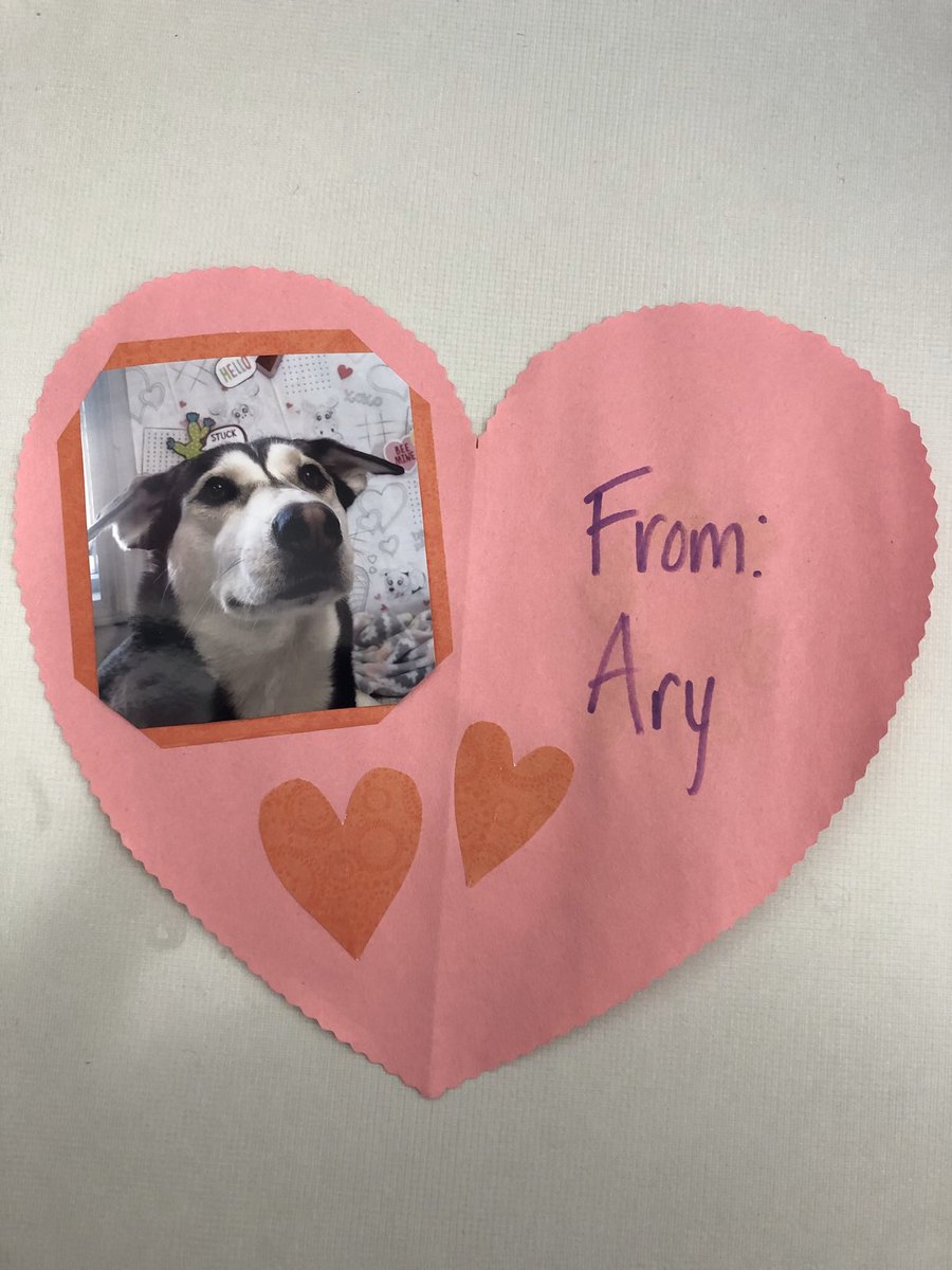 RachelIsaThomas's tweet photo. So, my dog's daycare had them make Valentine's for their owner. She won Valentine's day. 😭😭 #huskylab https://t.co/y4BC1nQhYR