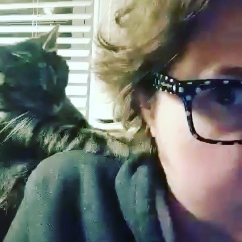 EllyLonon's tweet image. At least my cat thinks I accomplished a lot this week. That or she’s buttering me up before showing me what she left on the hall rug...
.
.
.
#catproblems
#kittehsofinstagram 
#catsofinstagram 
#caturday
#catstagram ift.tt/2HtzueI