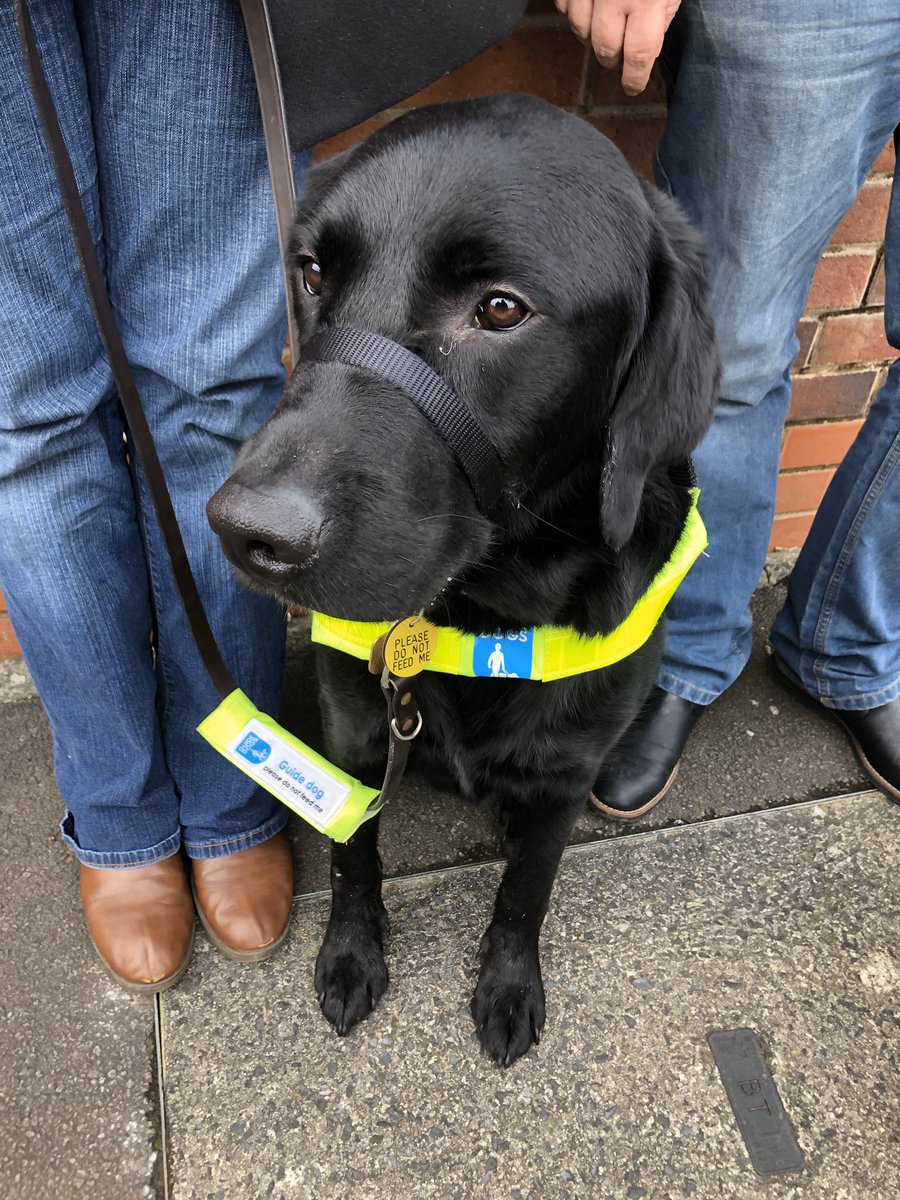 Rosie Harvey tweet media