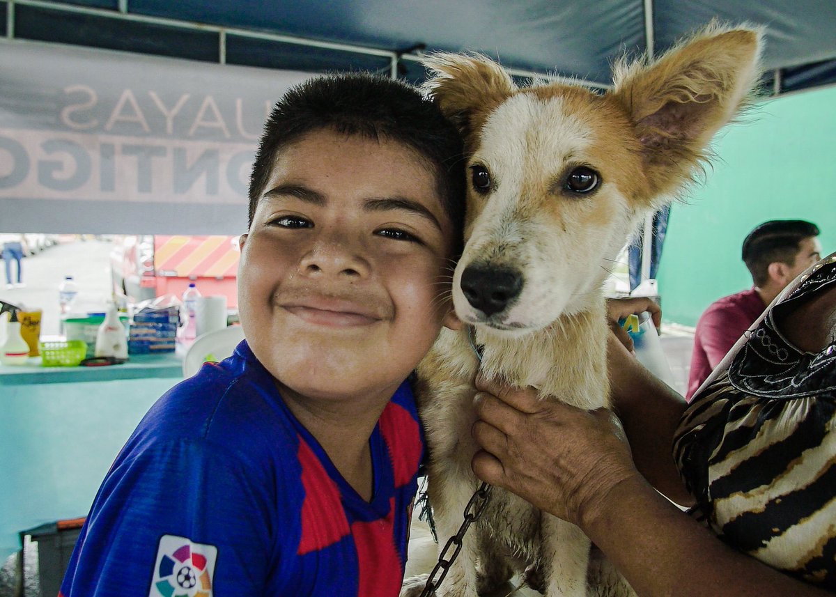 guayitas_ec's tweet photo. Desde @GobiernoGuayas fortalecemos la salud y el bienestar animal. Gracias a la iniciativa #GuayasContigo, las mascotas de los habitantes de Simón Bolívar fueron atendidas en una jornada veterinaria gratuita. ¡Juntos trabajamos para que nuestros amiguitos de 4🐾 estén saludables! https://t.co/FPVOwBM6WW