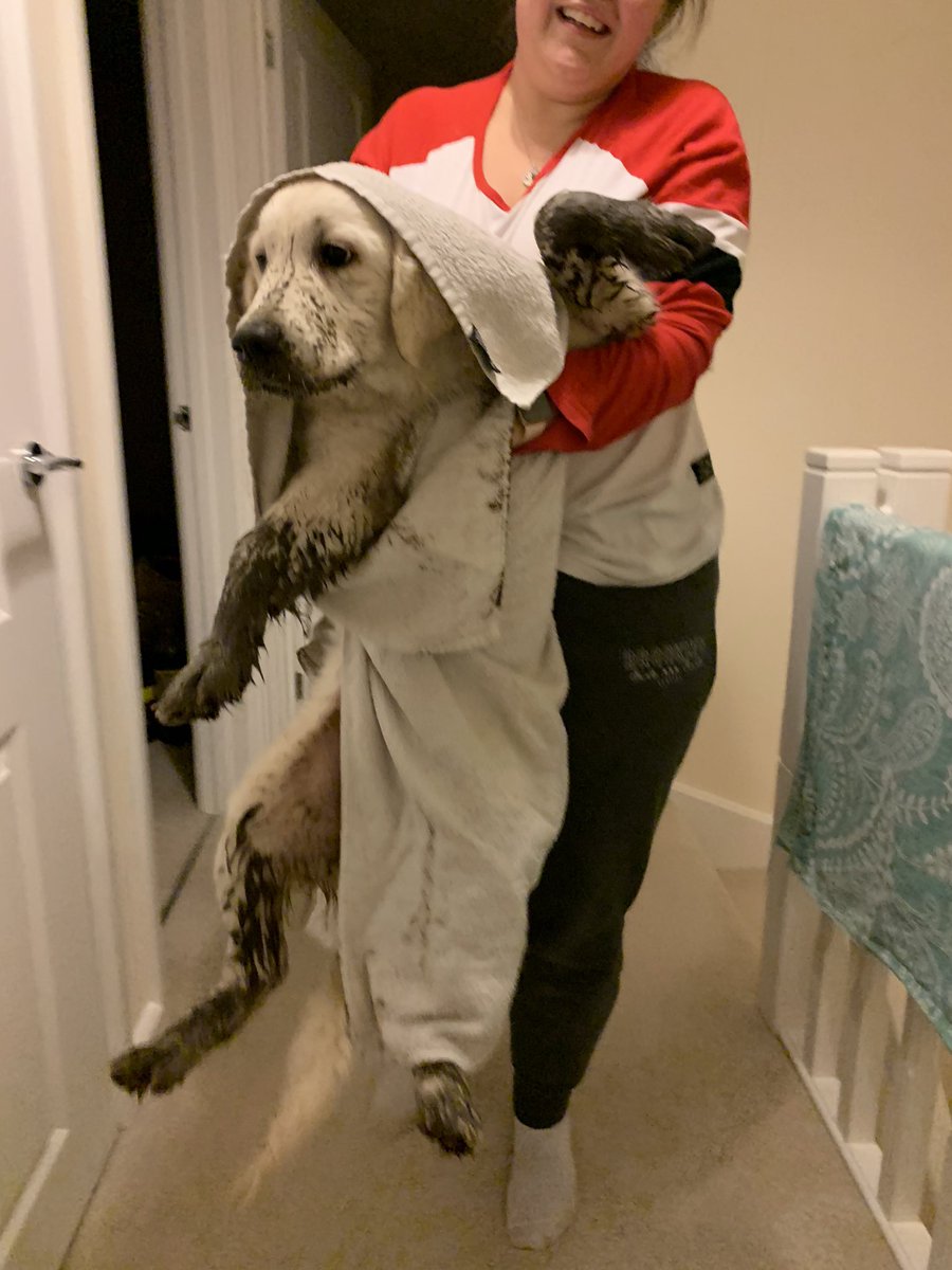 SecretLifeOfBa1's tweet photo. Naughty Bailey! I went out for a wee & decided in this weather to start digging! My owners called me in & this is the state I turned up in! #goldenretriever #GoldenRetrievers #goldenretrieveroftwitter #twitter #dogsoftwitter #twittersogs #puppy #puppylove #twitterdogs #dog #dogs https://t.co/xC0OP01Leg