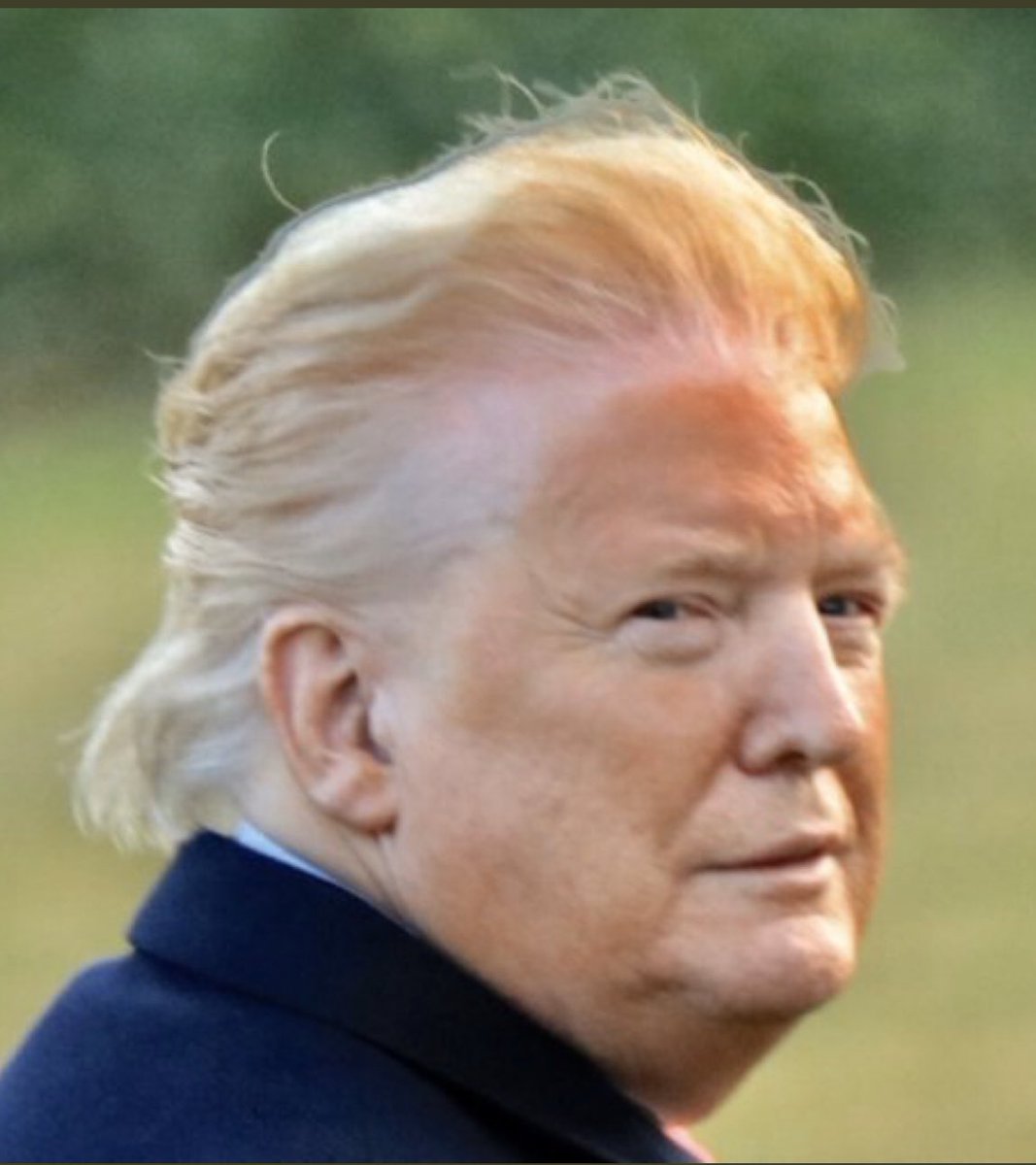 MurfAD's tweet photo. @photowhitehouse @realDonaldTrump @FLOTUS I like the #ImPeachy ones better! https://t.co/j04I7GrGlQ