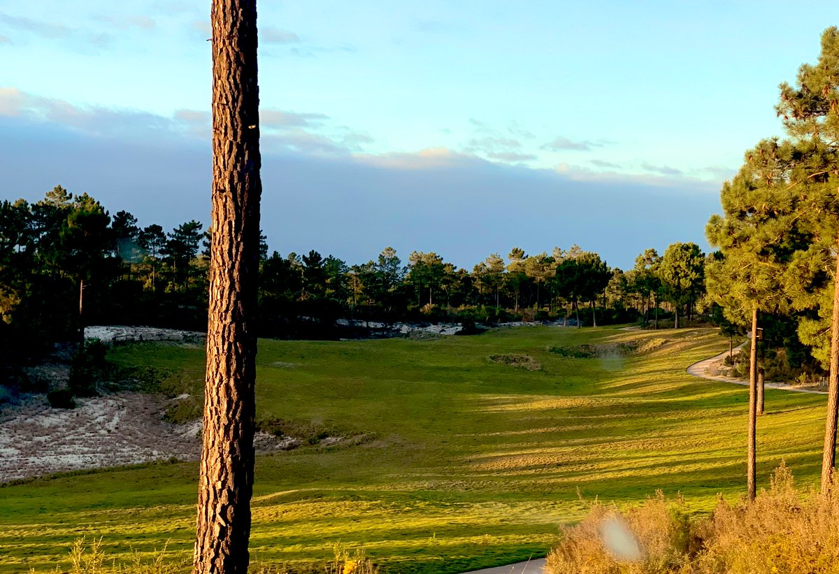 Last week I wandered around a part built golf course we had to abandon many years ago due to the developers financial collapse. It’s back on track now and this time we will see it finished, one of the best sites I’ve ever had.