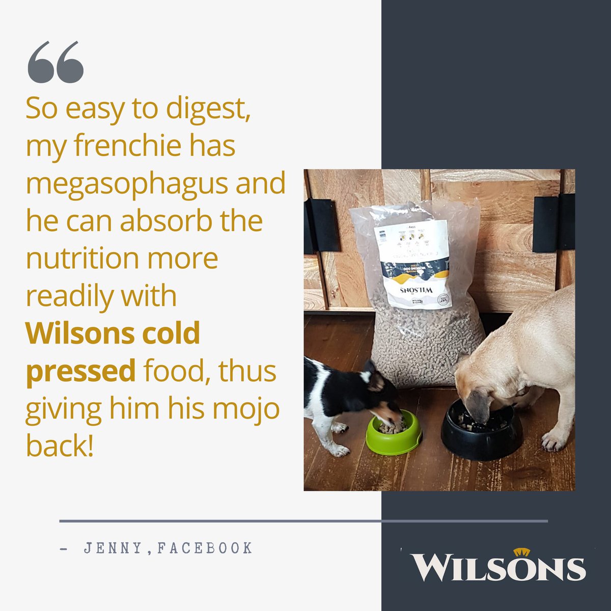 Our Cold Pressed dog food is pressed at low temperatures which helps to retain key nutrients but it also means it breaks down quicker in your dog's tum - order your bag at wilsonspetfood.co.uk 

#coldpressed #dogfood #naturalingredients #madeintheuk #healthydogfood #grainfree