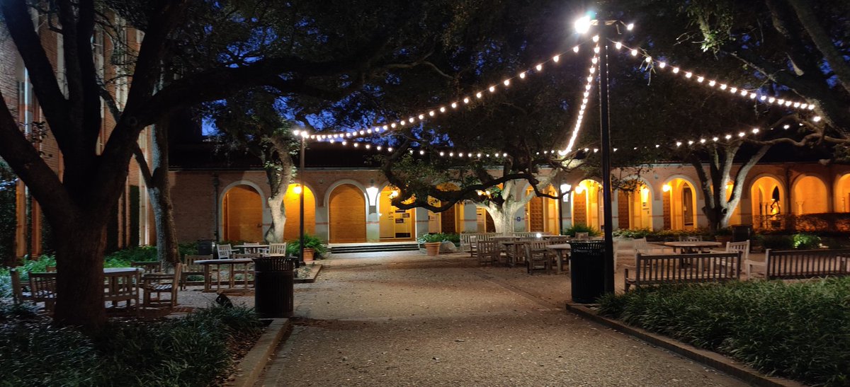 morrill_rob's tweet image. Rice at night. #construct3d