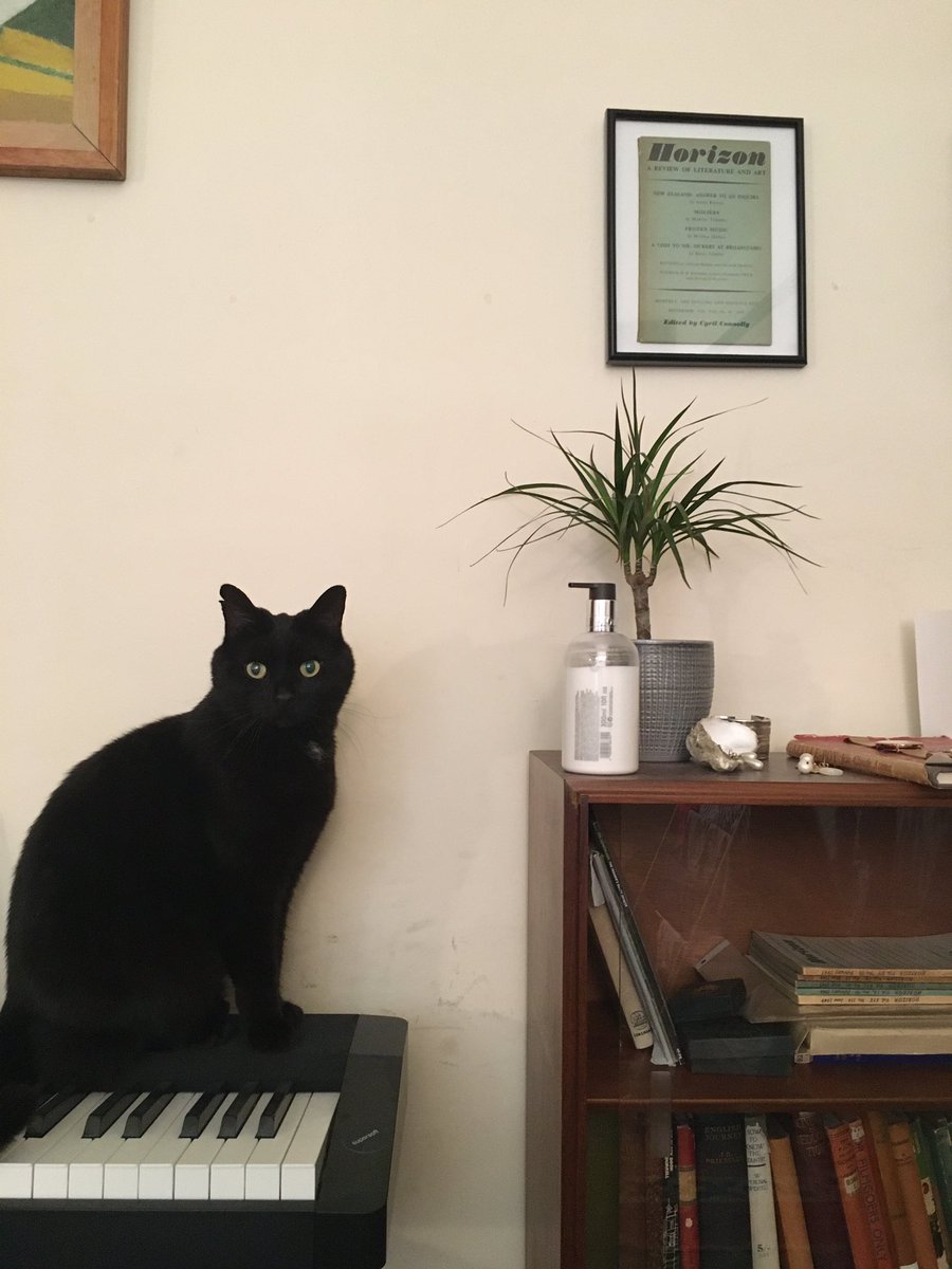 We’re a blog for postgraduate students in Cambridge. This is Harold.